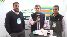 TV: 