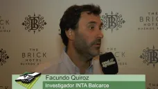 TV: 
