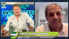 Estamos encaminados a superar el 90% de destete / vaca entorada?; con Marcelo Rojas Panelo