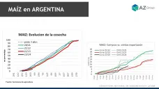 Maíz: Avanza la cosecha del cereal, ¿cómo impacta en el precio?; con Lorena D´Angelo - Clínica de Granos