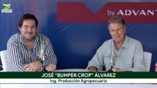 Zona núcleo vs. EE.UU.: la relación de precios de la tierra pasó de 3:1 a 2:1; con J. A. Álvarez - 