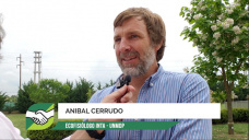 Por qu la ecofisiologa de cultivos es pasin entre productores de punta?; con A. Cerrudo - INTA