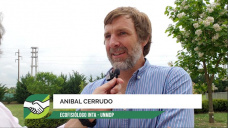 ¿Por qué la ecofisiología de cultivos es pasión entre productores de punta?; con A. Cerrudo - INTA
