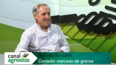 TV: Parálisis por sequía y pérdidas de precio en Soja; con Ricardo Baccarin - Corredor