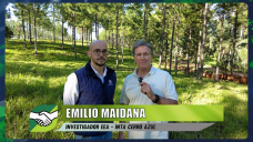 Los secretos de un buen Modelo Ganadero silvo-pastoril; con Emilio Maidana - INTA Misiones