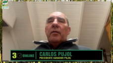 Agosto post PASO, con $800 el Nov y compra de invernada a futuro?; con Carlos Pujol - consignatario