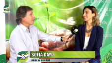 En solo 5 años se quintuplicó la tecnología de cultivos de servicios; con Sofía Gayo - BC
