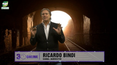 Luz al final del túnel, ¿esperanza ó locomotora de frente?, con Ricardo Bindi