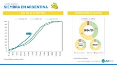 Maíz: con buenas perspectivas de siembra en Argentina,  con Sofia Gayo - Clínica de Granos