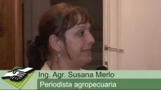 TV: 