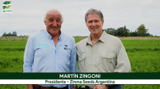 Tendencias en selección y manejo de Alfalfas: calidad y latencias según ambientación; con M. Zingoni - Zinma Seeds
