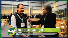 ¿Por donde pasan las novedades en investigación agrícola de Bioceres?; con Marcelo Carrique - Presidente