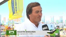 TV: 