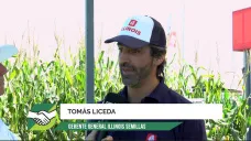 Apostando al maíz temprano: récords históricos y una gran exportación en puerta; con T. Liceda – Illinois  