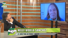 El caso Videla Sanchez en Pesca - MAGyP, y la corrupcin pblico - privada