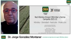 Girasol, el dueño del margen y todo para un nuevo en manejo ganador con Jorge González Montaner