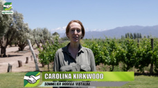 Cómo trabaja la industria del vino, desde la materia prima hasta la botella; con C. Kirkwood - sommelier