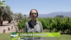 Cómo trabaja la industria del vino, desde la materia prima hasta la botella; con C. Kirkwood - sommelier