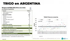 Trigo: queda cereal pero ya se piensa en el nuevo; con Lorena D´Angelo - Clínica de Granos