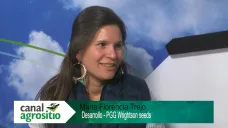 TV: 