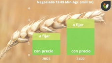 Trigo: suba el maz, suba el trigo. Se cae maz.. el trigo se desploma en el mercado internacional, con Paulina Lescano - Clnica de Granos