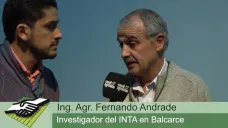 TV: 