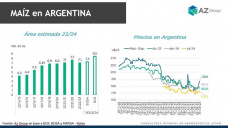 Maíz: ¿Aumenta el área de maíz en Argentina?, con Catalina Ferrari - Clínica de Granos