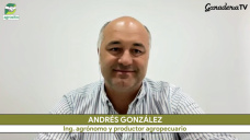 Ganadería & cambio: ¿cómo pasar de invernador a un sistema integrado de cría a gordo?; con A. González - ganadero