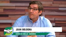 ¿Cómo no caer en el espejismo pastos naturales verdes y el Niño?; con Juan Bologna