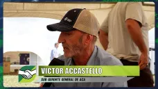 ¿Cómo funciona el 
