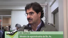 TV: 