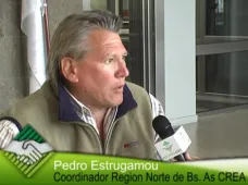 TV: 