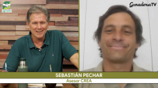 El momento de la Patagonia: precios firmes y una Ganadería con futuro; con S. Pechar - asesor CREA