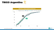 El Trigo resiste: la condición en EE.UU. sostiene precios, ¿hay oportunidades para la nueva campaña?; con Clara Treachi - Clínica de Granos