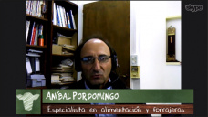 Ganad.TV B2: 