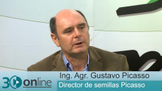 30 online B2: ¿Cómo está la demanda de pasturas y forrajeras para la siembra de Primavera?; con G. Picasso