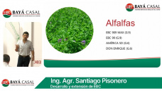 Qu hay de nuevo en semillas de Forrajeras, verdeos y de servicios; con S. Pisonero - Baya Casal