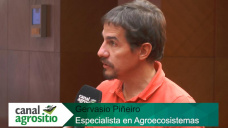 TV: Por qu es importante sumar -cultivos de servicio- en la Post-seca?; con G. Pieiro - UBA