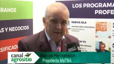 TV: 