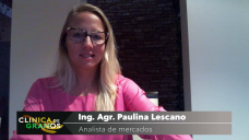 Soja: hay tanta mezcla de datos positivos y negativos que los precios no encuentran direccin, con Paulina Lescano - Clnica de Granos