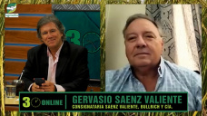 ¿Le sirve al ganadero el Plan maíz de Massa para engordar rápido y que baje la carne?; con G. Saenz Valiente - consignatario