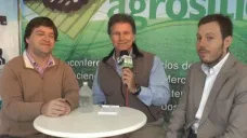 TV: 