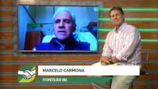 Estar alerta al Nio y al peligro de enfermedades en soja y maz; con Marcelo Carmona