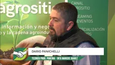 ¿Hacia donde van los nuevos Modelos de producción Porcina?; con Darío Panichelli - INTA