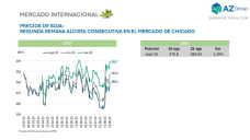 Soja: Factores climáticos definen los precios, mientras EE.UU. espera la demanda China; con Clara Treachi - Clínica de Granos