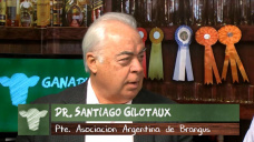 Ganad.TV B1: ¿Porqué la agricultura creció 500% y la ganadería solo 50%?; por S. Gilotaux