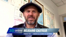 Ganadería 2020, buenas oportunidades y reserva de valor; con Belisario Castillo - Consignatario