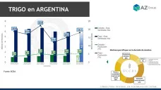 Trigo: el cereal nuevo a un paso de los usd 250 ¿vendemos?; con Lorena D´Angelo - Clínica de Granos