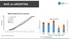 Maíz: Cosecha demorada ayuda a los precios; con Lorena D´Angelo - Clínica de Granos