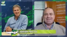 Un año ideal para sembrar Legumbres, arveja y lenteja con + demanda que oferta; con A. Poletti - agrónomo